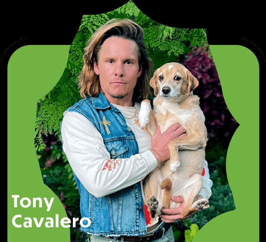 Local, Locals - Actor, showman, doglover , Tony Cavalero