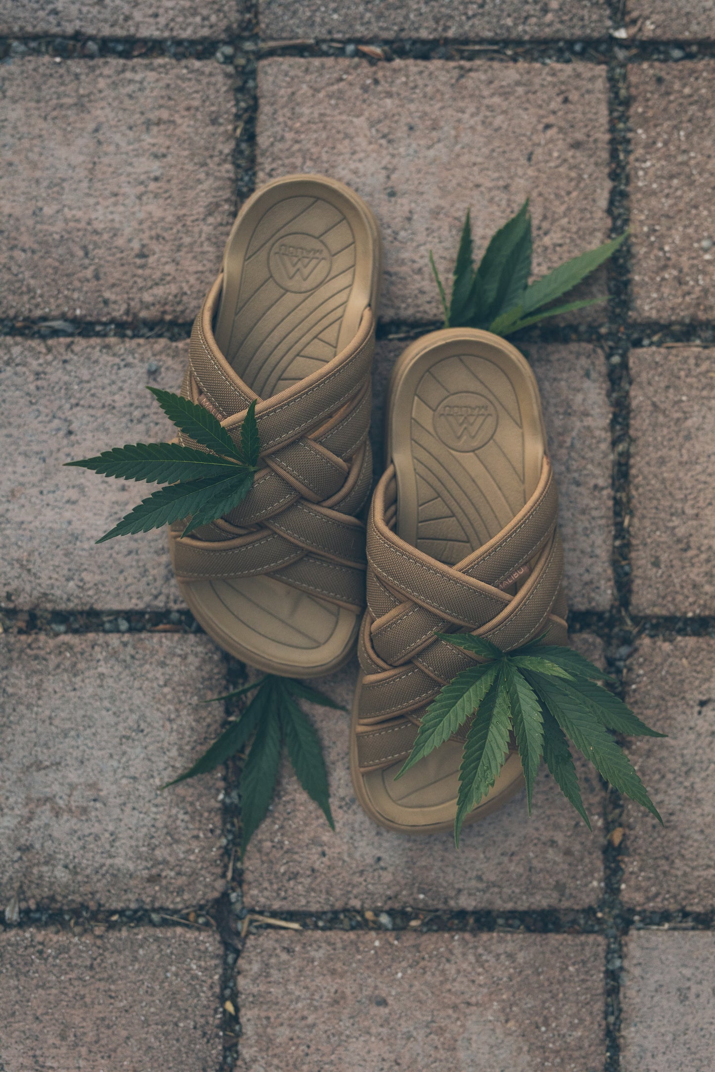 Men's Zuma LX Slide | Nylon | Neoprene | Rubber | Coyote