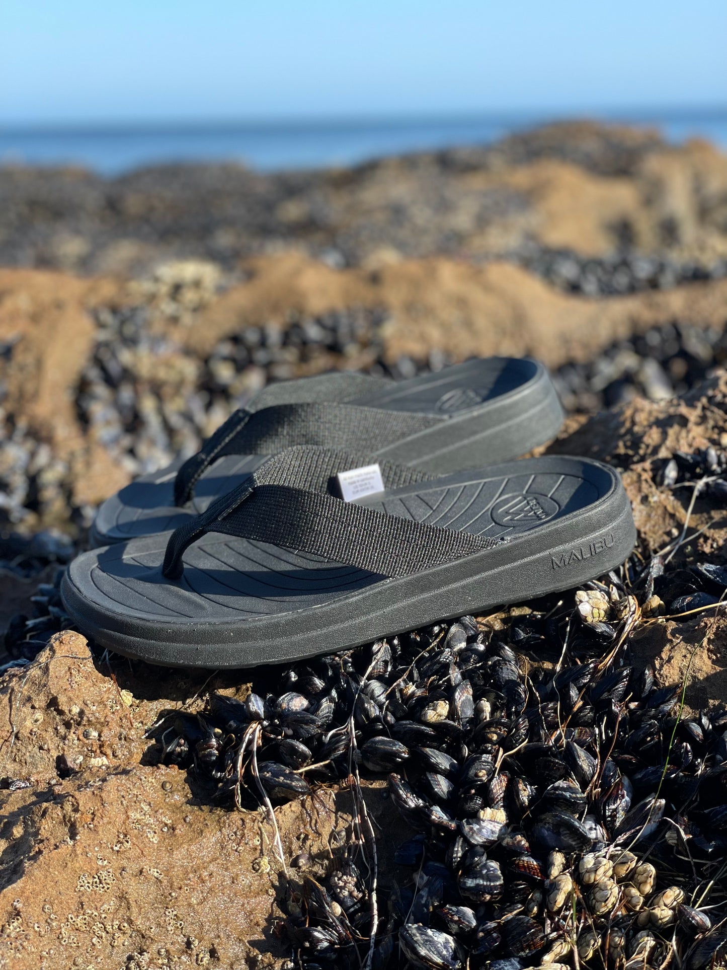 Women's Surfrider | Nylon | EVA Rubber | Black