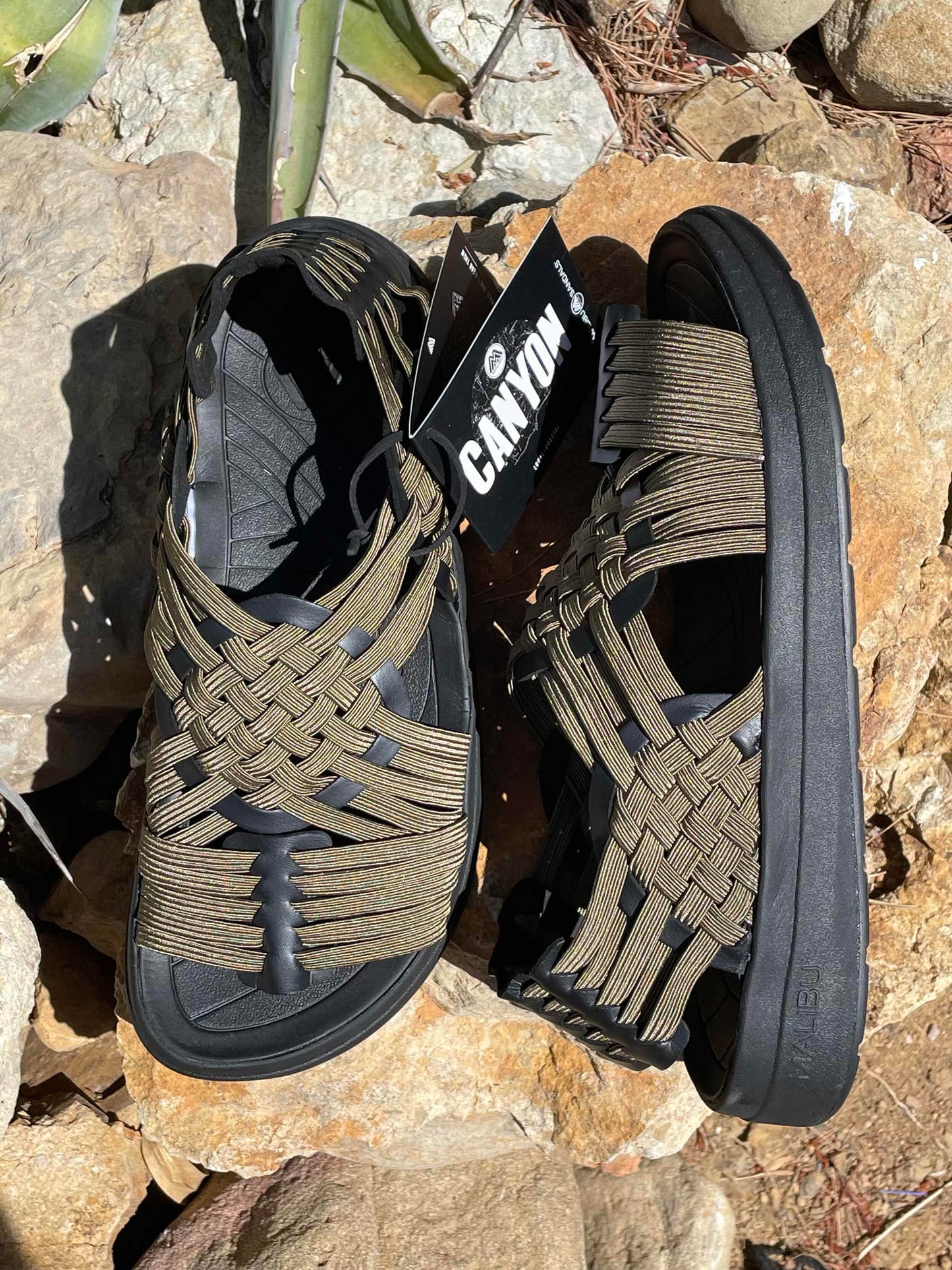 Men's Canyon | Classic Elastic | Olive
